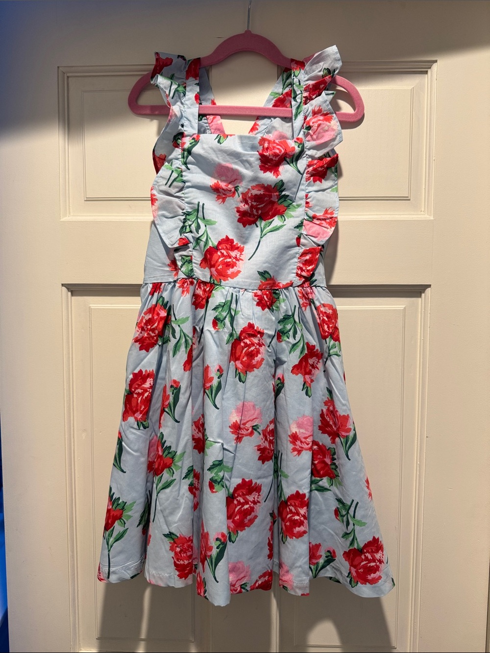 Janie and Jack Light Blue Dress with Red Floral Print